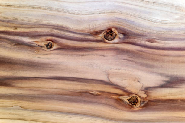 istock Beautiful wood grain. Wood background. Wood grain pattern texture background 1446914709