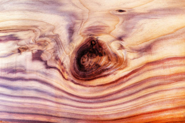 Beautiful wood grain. Wood background. Wood grain pattern texture background