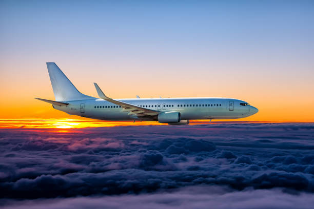 istock White passenger airliner flies in the sunset sky 1446917094