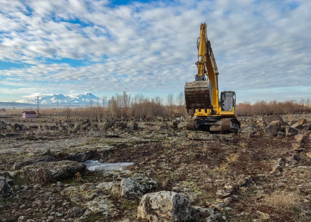 ciężkie maszyny pracują w terenie do prac budowlanych. - clear sky construction vehicle bulldozer commercial land vehicle zdjęcia i obrazy z banku zdjęć