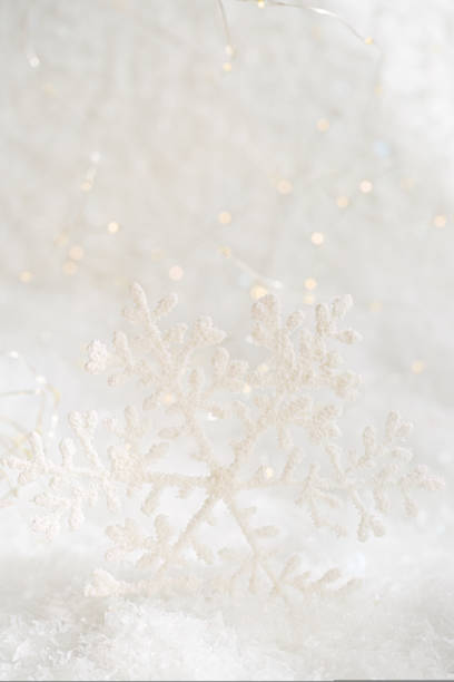 istock Christmas white snowflake on a white snow. Blurred background with beautiful bokeh. Shallow depth of field 1446918049