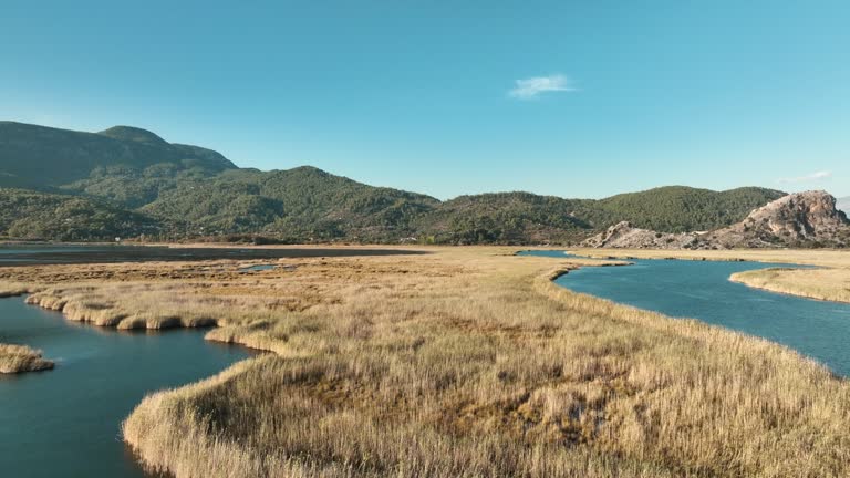 Dalyan Delta