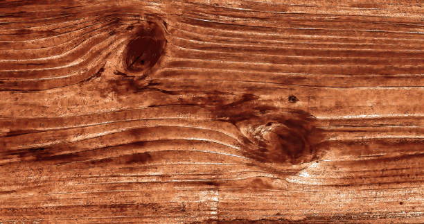 istock Beautiful wood grain. Wood background. Wood grain pattern texture background 1446919501