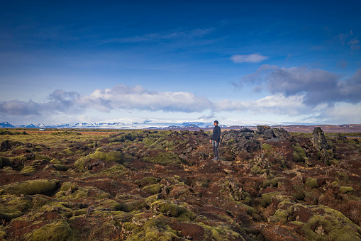 man standing on the spectacular moss blankets, on the south coast of Iceland, at the Eldhraun lava fields