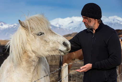 man with an Icelandic horse in Iceland's scenic natural landscape; Iceland