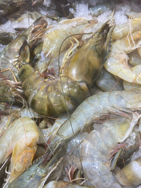 istock shrimp at retail market 1446924353