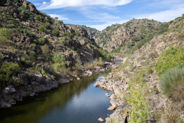 istock Coa River Valley and Faia Brava Park, Portugal 1446927202