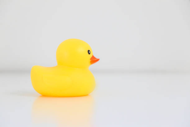 istock Cute yellow rubber duck facing rightwards, copy space on right 1446929483