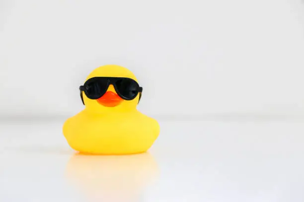 Photo of Cool little yellow rubber duck wearing black sunglasses, copy space on the right. Be smart, be cool concept.