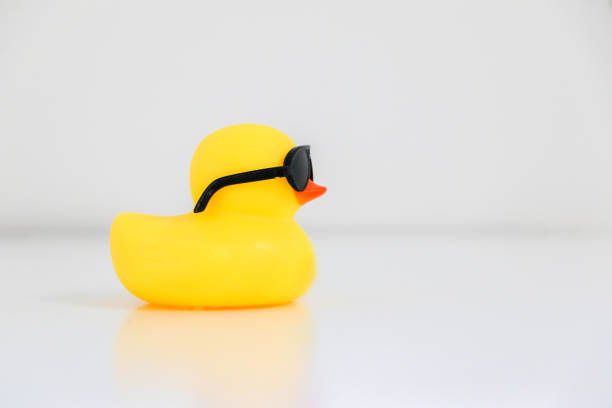 cool yellow rubber duck wearing black sunglasses facing rightwards, copy space on the right. - duck toy imagens e fotografias de stock