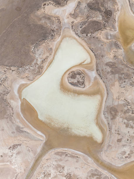 istock Natural shapes and textures on lake 1446930178