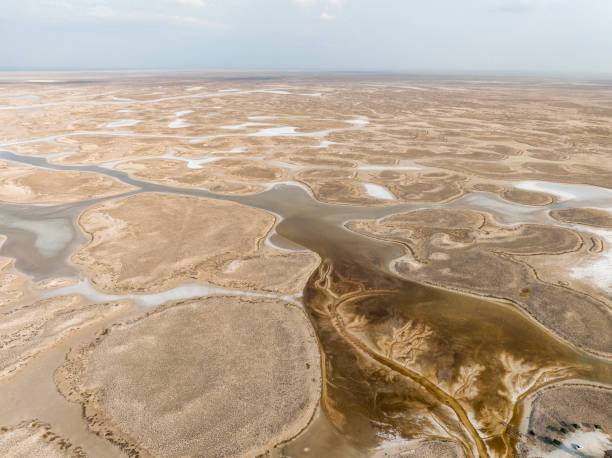 istock Natural shapes and textures on lake 1446930205
