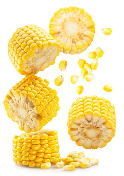 istock Piece of maize cob or corn cob and corn seeds flying in air isolated on white background. 1446933982