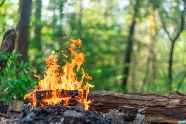 Bonfire or campfire. Orange flame of a fire at nature background.