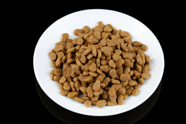 istock Cat food on a white plate. Animal feed. 1446935193