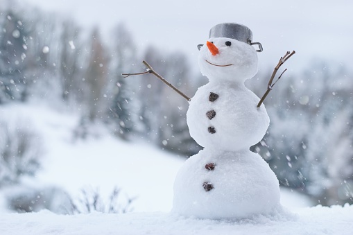 Lovely smiling snowman in the winter garden
