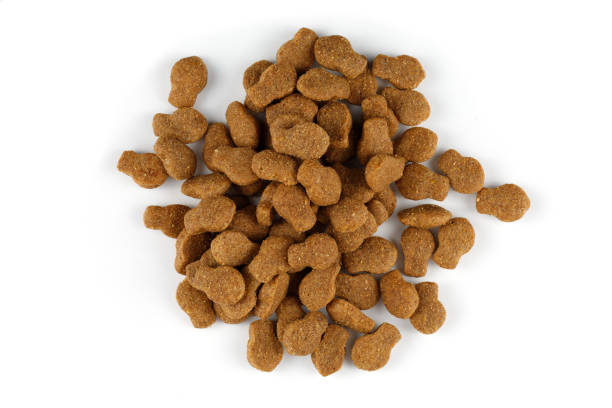 istock Dry food for cats. Animal feed. 1446935299