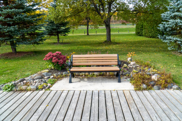 bench in a park by a walking trail