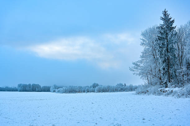 istock field covered in snow a misty cold day in Sweden 1446940281