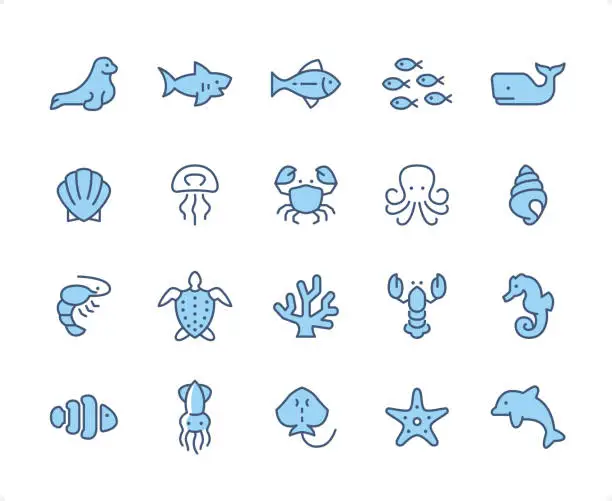 Vector illustration of Sea Life icon set. Editable stroke weight. Pixel perfect dichromatic icons.