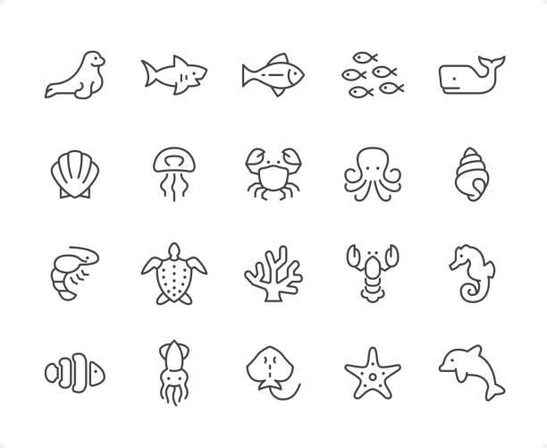 Sea Life & Ocean Animals  icon set. Editable stroke weight. Pixel perfect icons. Sea Life & Ocean Animals  icons set #39

Specification: 20 icons, 64×64 pх, EDITABLE stroke weight! Current stroke 2 px.

Features: Pixel Perfect, Unicolor, Editable weight thin line.

First row of  icons contains:
Seal- Animal, Shark, Fish, School of Fish, Sperm Whale;

Second row contains:
Clam, Jellyfish, Crab, Octopus, Conch Shell;

Third row contains:
Shrimp, Turtle, Tree Coral, Lobster, Seahorse; 

Fourth row contains:
Clownfish, Squid, Ray - Fish, Starfish, Dolphin.

Check out the complete Prolinico collection — https://www.istockphoto.com/collaboration/boards/m2yevS1B7EWOAAxLZcvJhQ aquatic mammal stock illustrations