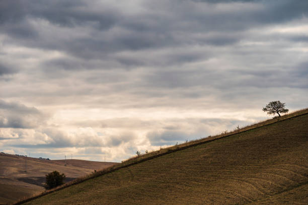istock Basilicata  countryside landscape 1446940853