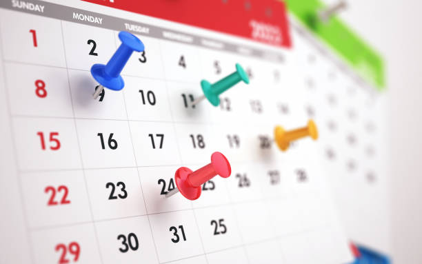 istock 2023 Calendar Special Days Marked with Colored Pins 1446941091