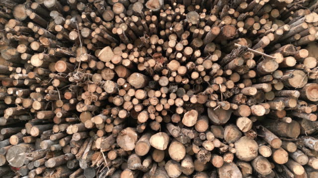 Panning shot of Pile of wood logs storage for background