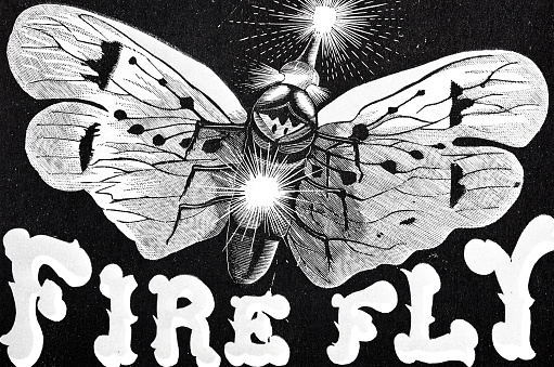 istock The fire fly, a stage version of Ouidas novel Under two flags 1446946029