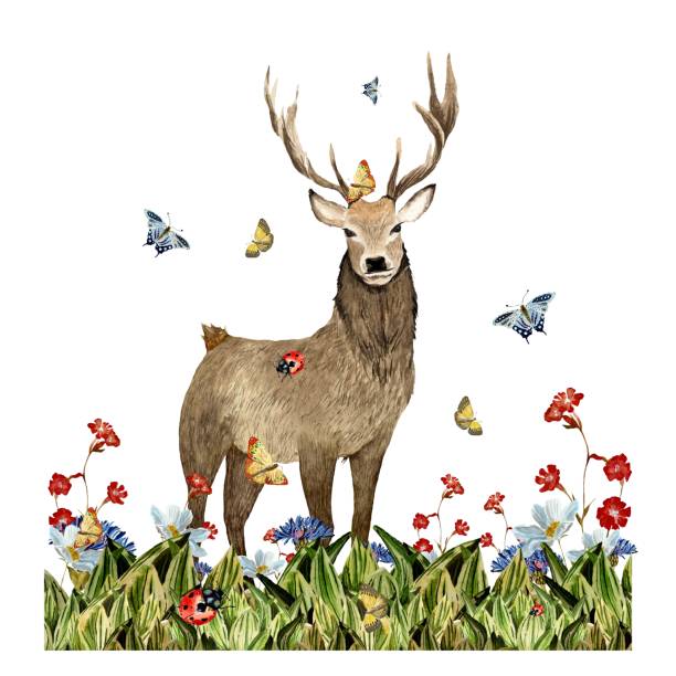 istock Nature grass deer flower red butterfly watercolor 1446946435
