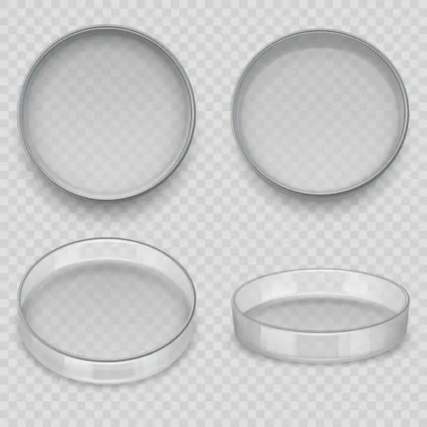 Vector illustration of Petri dish. Realistic transparent dishes for lab experiments medical pharmacy vessel for analysis decent vector template