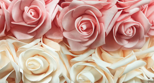 istock two horizontal rows of artificial white and pink roses, cream flowers, background 1446947619