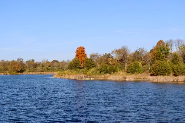 istock Peaceful Country Lake 1446949357