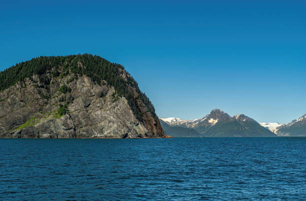 istock Forested boulder in blue ocean, Resurrection Bay, Alaska, USA 1446955753