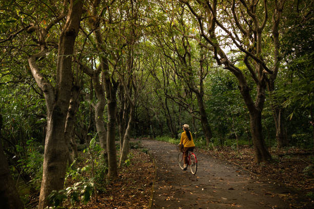 femme, faire du vélo dans le parc - mental health women asian ethnicity bicycle photos et images de collection