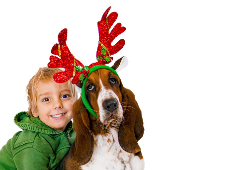 Smiling Little Boy & Basset Hound Breed Dog Wearing Reindeer Antlers