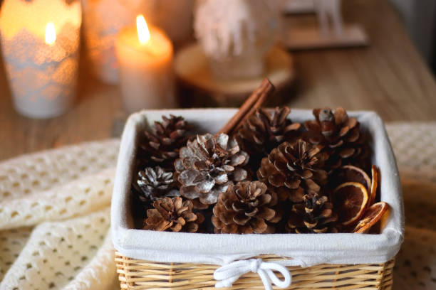 istock Pine Cones, Spices and Candles 1446965995