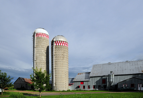 Baie-du-Febvre, Nicolet-Yamaska Regional County Municipality, Quebec, Canada: pair of tower forage silos at a dairy farm - forage silos are used in agriculture to store fermented feed known as silage - Route Marie-Victorin