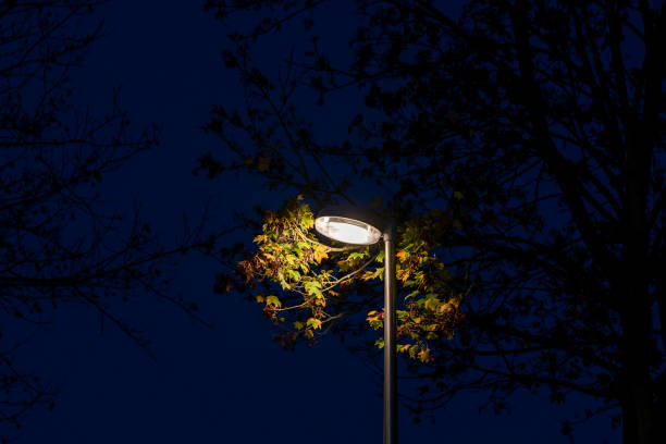 istock Street lights and night. Light at dusk. 1446969398