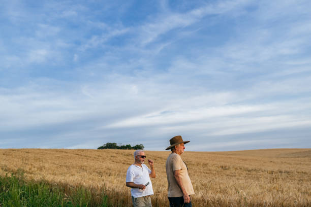 istock Farmers looking at wheat plantation 1446970107