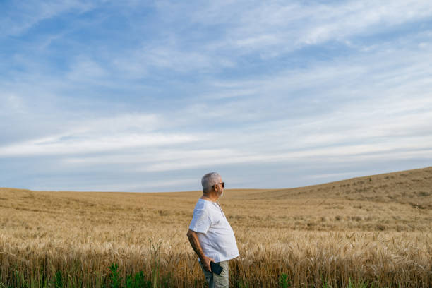 istock Senior farmer looking at the wheat field 1446970136
