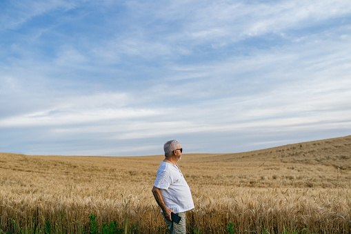 Senior farmer looking at the wheat field