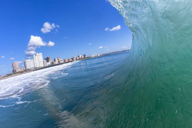 Durban Beachfront Ocean Swimming Wave Surfing Water Photo