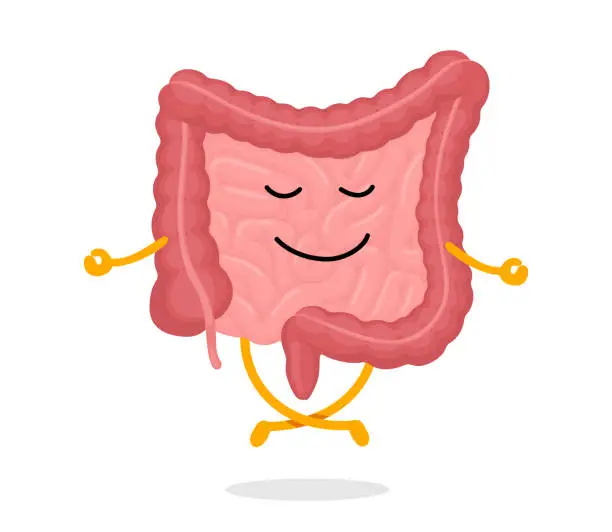 Vector illustration of Cute cartoon healthy human intestines character relaxation meditate. Funny intestine mascot meditation in lotus yoga pose. Cartoon gut good condition. Digestive internal organ bowel calm and relax