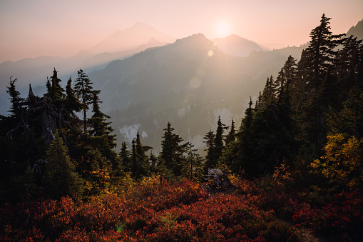 A beautiful Autumn day at dusk in Mount Baker area, Washington state, USA.  Red and orange hues visible in the autumn foliage on the ground.  A thick haze brings vibrant color to the sunlight, and layers of contrast to the silhouettes of the scene.    A wonderful place of nature to explore and discover.