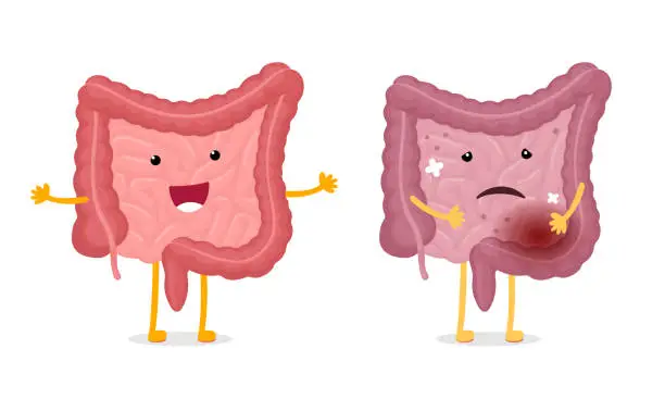 Vector illustration of Intestines characters healthy and unhealthy comparison. Human intestine mascot good and bad condition. Cartoon gut smiling and illness sad. Bowel strong and damaged. Digestive internal organ. Eps