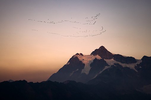 A beautiful Autumn day in Mount Baker area, Washington state, USA.  Geese migrate south, flying high over the mountains.    A wonderful place of nature to explore and discover.