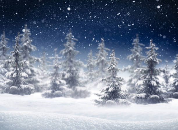 istock winter background of the night sky and forest 1446974116