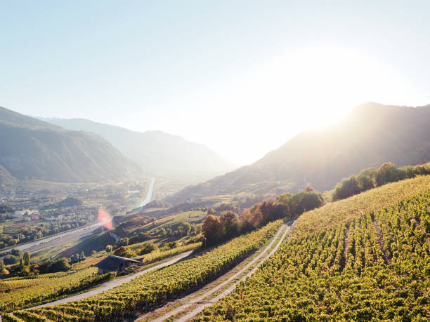 istock Traveling through Switzerland 1446974495