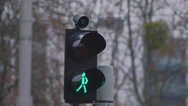 istock Pedestrian Crossing Traffic Lights with Caution Sound Signal 1446975751